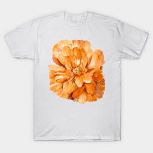 Orange Poppy T-Shirt